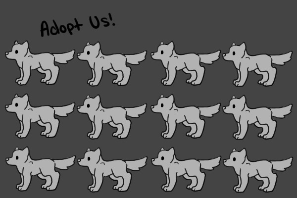 Blizzard Puppy Adopts (BPA) | Now Open!