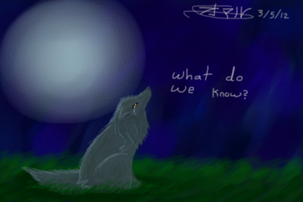 What do we Know?