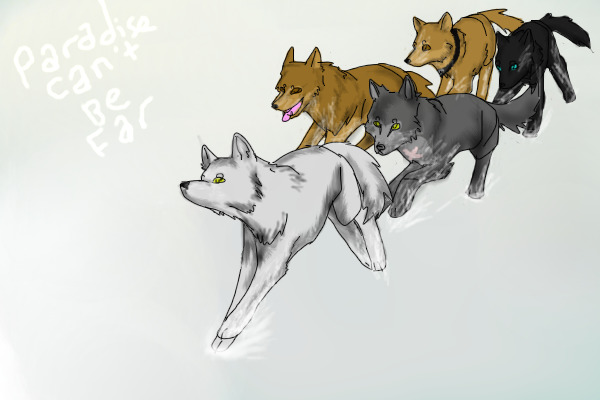 Paradise Can't Be Far