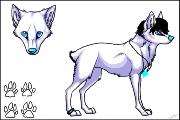 Bobed dog!!!!!