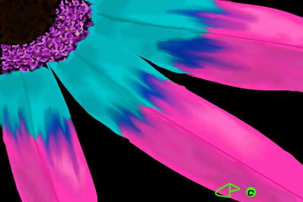 Crazy Flower! :3