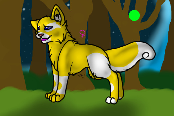 Female - Needs Owner