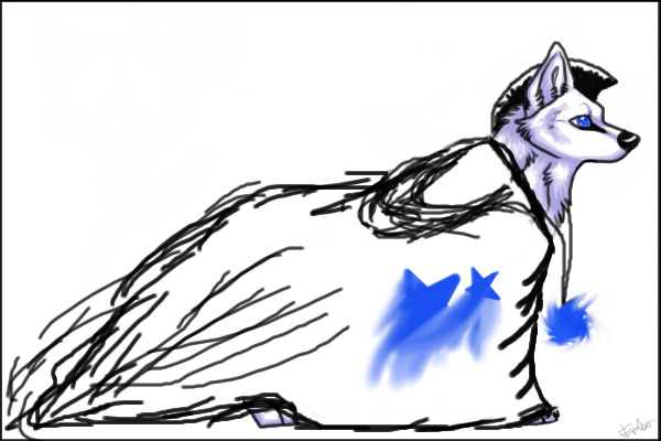 blue wolf
