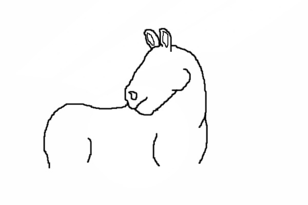 Colour your own Horse