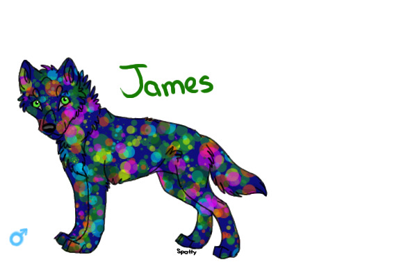 Wolf Pack Adopts -James
