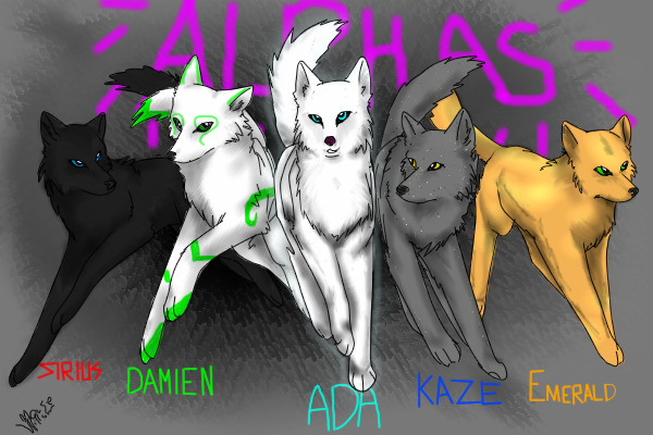 Meet the Alphas!