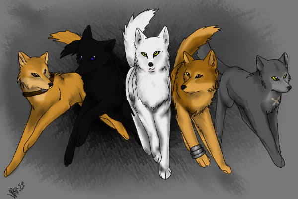 We will Find Paradise