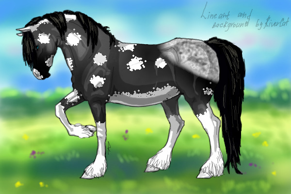 My dream horse~<3