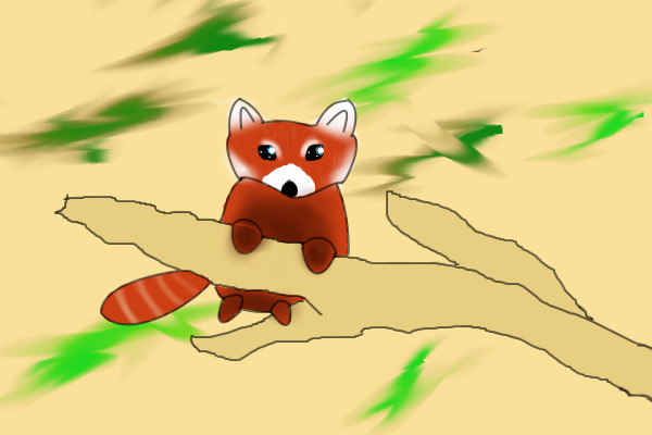 red panda entery