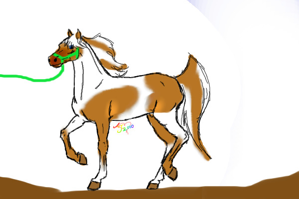 Spice the horse
