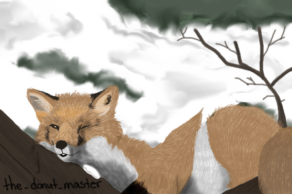 Winter Nap