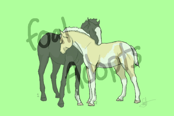 Sun Shade Stables Foal Adoptables