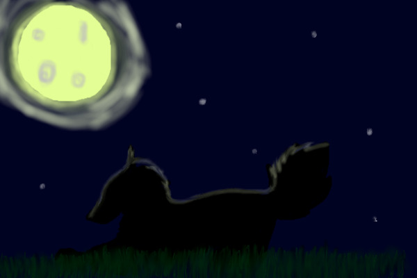 Listening to the Silent Moon
