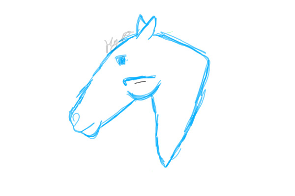 Horse sketch