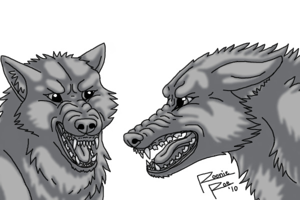 Two Very Snarly Wolves