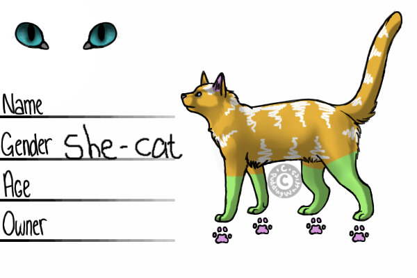 Kit Six