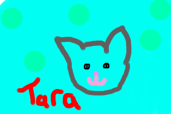 Tara The Cat