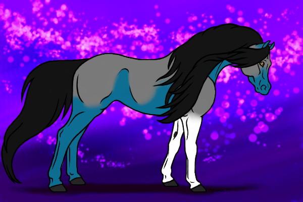 Raven (horse from)