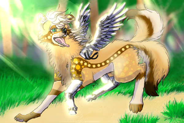 'Nother Contest entry (Derek)