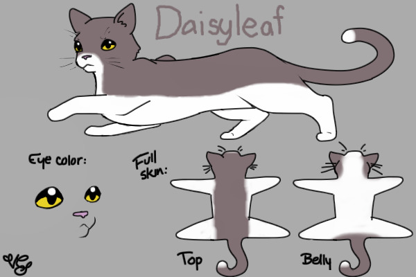 Daisyleaf