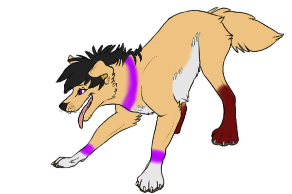 Meph Apollo Creed (dog form)