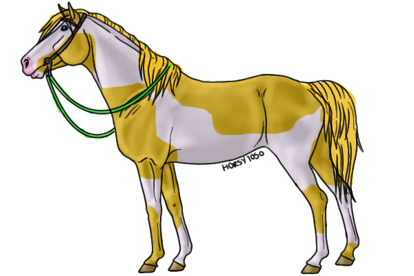 Western Paint