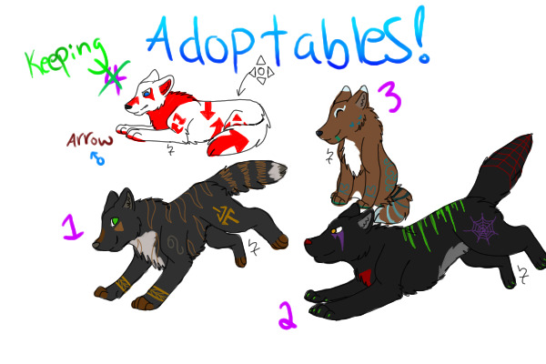 Adoptable canines