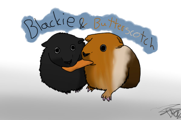 Blackie and  Butterscotch