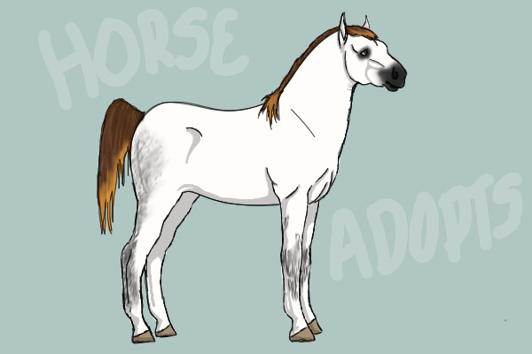 Sun Shade Stables Adoptable Horses CLOSED