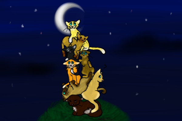 When Hockey Becomes Cats