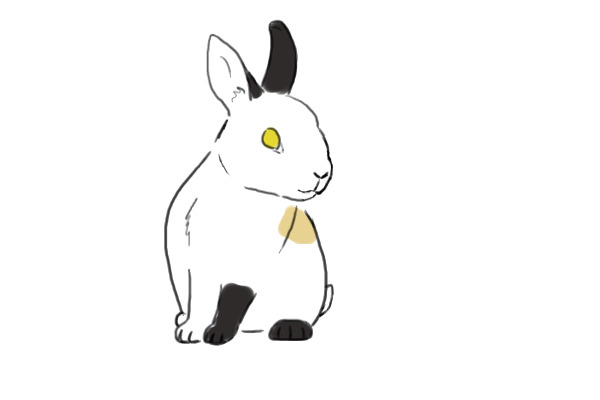 Ophir Bunny