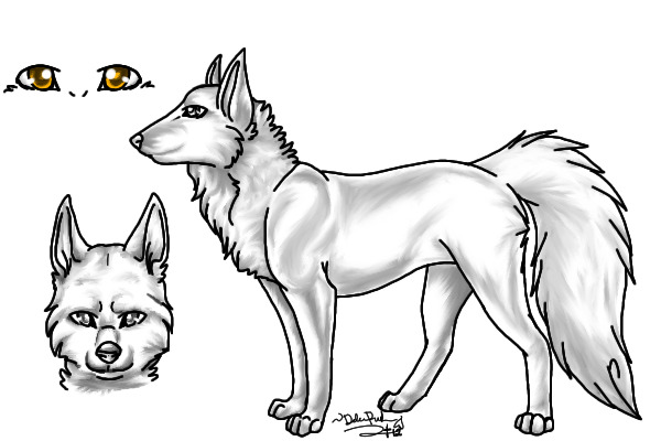 Finished for Applesky