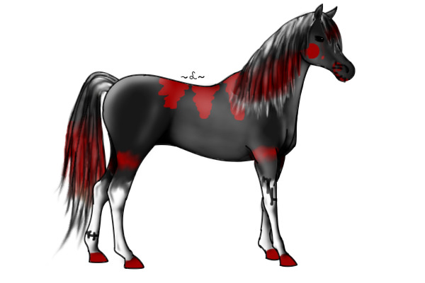 Pony