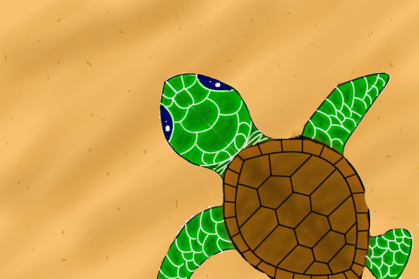 Babby Sea Turtle