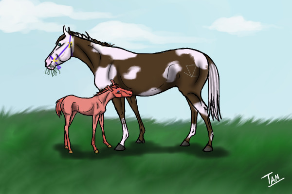 Susie and Amigo