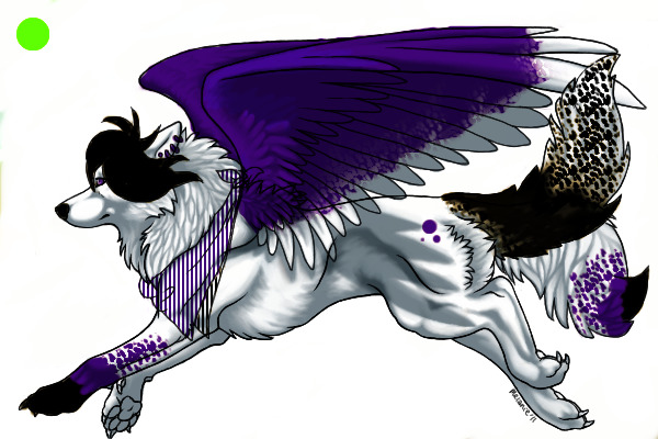 my 1st Adoptable!