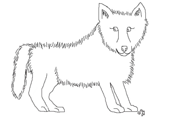 Dog Lineart