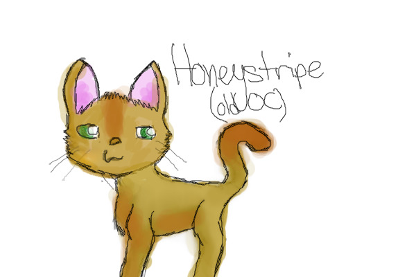 Honeystripe~ first drawing, couldn't be worse if I tried ._.