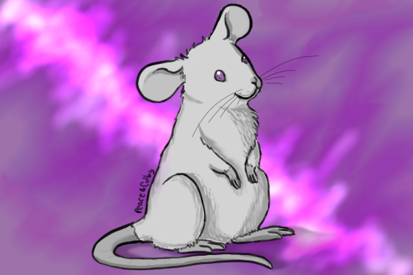 Yuki, Year of the Rat