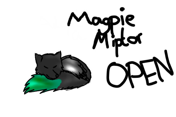Miptor Adopts - Magpie Miptor - CLOSED