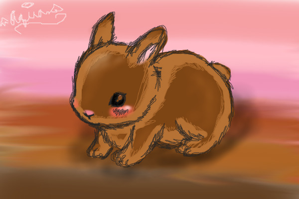 Chocolate Bunny!