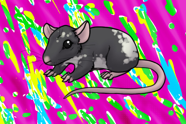 random background
