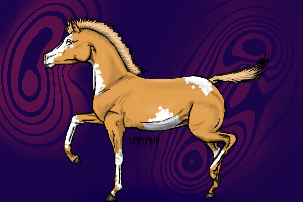 Palomino Pinto