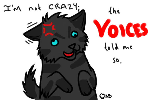 When Rainwhisker went crazy 0_0