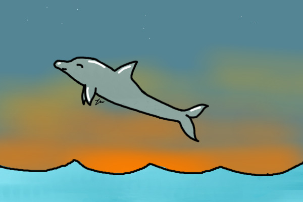 A bottlenose dolphin at sunset