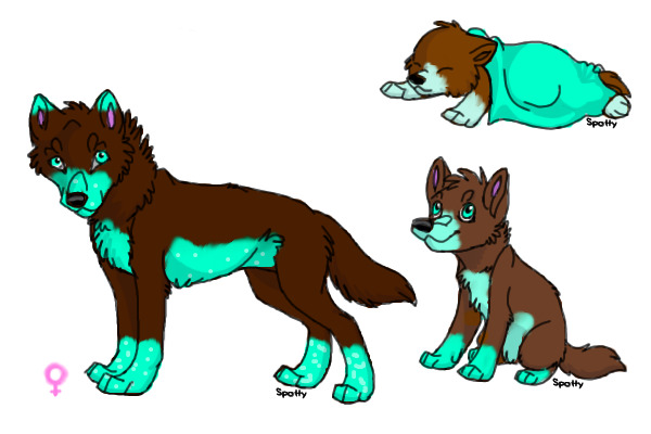 My new Char
