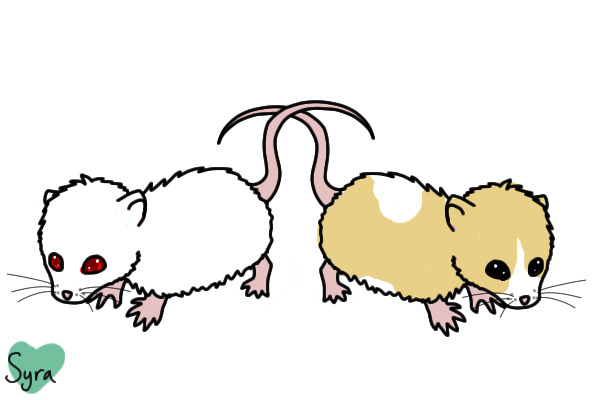 fiona: left  sammy (samantha): right