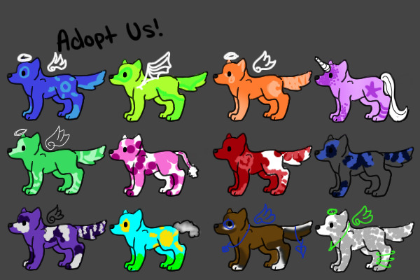 Dog Adoptables