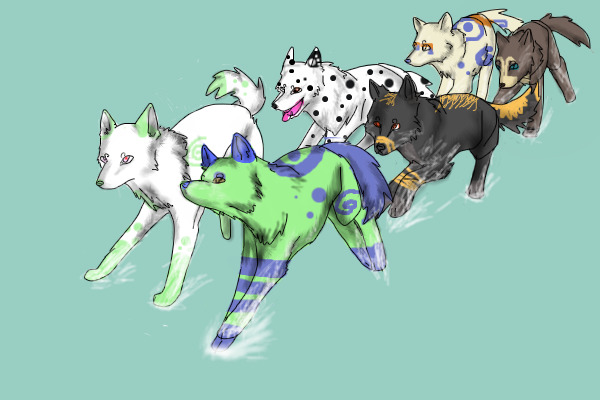A CS pack