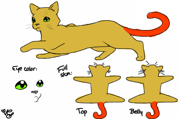 redtail:former thunderclan deputy